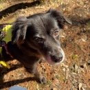 え？なんか・・・もしかして？？？