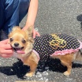 海の公園フリマご支援品のご紹介♪