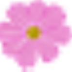 山梨県民が送るホームページSEO対策方法