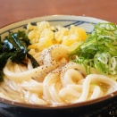 冷たーい旨塩うどん
