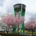 コスパの良さで朝からととのうなら豊田浄水店。愛知県豊田市『竜泉寺の湯豊田浄水店』