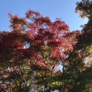 住吉で日曜テニスをする♪