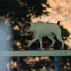 フォトグラファーチコソラのブログ