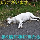【帰る前の新幹線で】