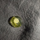 今日の運勢（月）、今日の暦（鴻雁北、二十六夜）4月12日