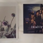 今日もダラダラ生きましょか(-　。-)。