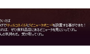 ティルコネイルの食料品店に場違いなアレが設置されたぞ…ｗ