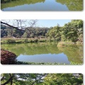薬師池公園