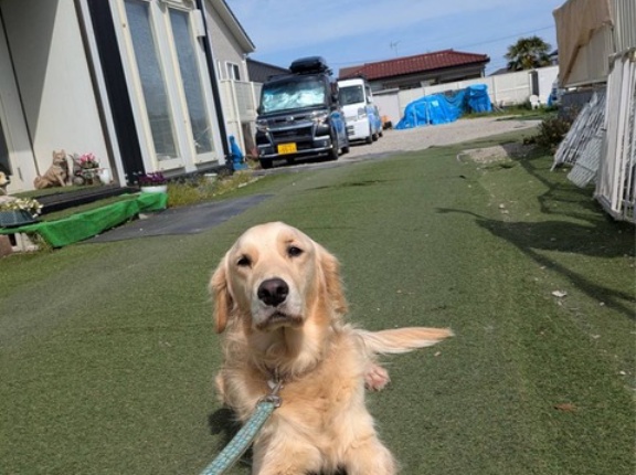 本日も爽やかなシェルター地方です😽🐶👍