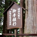 5/30～6/2間で、ノンビリと「七面山〝敬慎院・奥の院〟」に参詣でした(11)