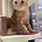 神奈川県 ワンラブ LICOPA川崎店のスタッフブログ