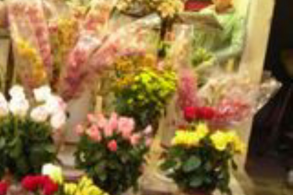 ビックフラワー永福店 マメ知識