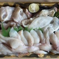今季初のてっちり