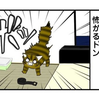 【猫との暮らし】爬虫類恐怖症な猫【不思議】