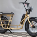 特定小型原付第2弾！BRONX BUGGY THROTTLE【橋輪Blog】