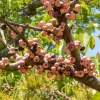 ��¼�� ��¼����ǥ����������סˤμ¤����äƤ��ޤ��� 2026
