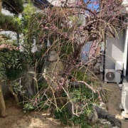 �뤴�ӡ��������