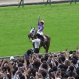 『日曜日は大健闘！　オッズカラット　５月２３.２４日　検証』の画像
