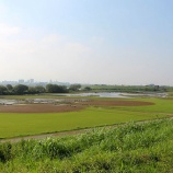 『A地区も水が引き始めました』の画像