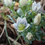 山の草木に息吹を与える風