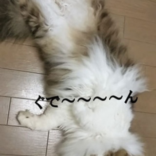 卵巣がんステージⅣでも、人生楽しく前向きに。喜怒哀楽を大事にね。