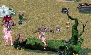 ピースフル古木に二人で座れる