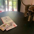 ロイヤルカナンと我が家のメンズトリオ
