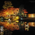 『投稿：F0.95で紅葉ライトアップ　2022/11/21』の画像