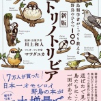 どみなり屋