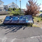 ウシ子とウシ夫の牛歩旅