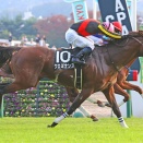 【競馬予想】第59回ステイヤーズステークス(GⅡ) /2025