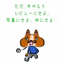 情報の信憑性