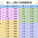 何歳から　シニアなのか・・・