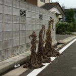 世界を舞台にしたRPGがあったとして一番通常モンスターが強そうな地域ｗｗｗｗｗｗ
