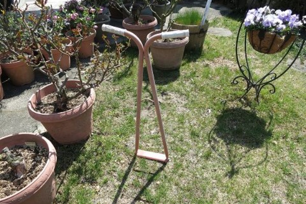 芝生の根切り 穴あけ 施肥しました ミセスケイの薔薇コラム