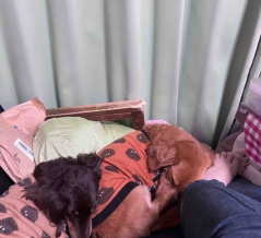 また明日。
