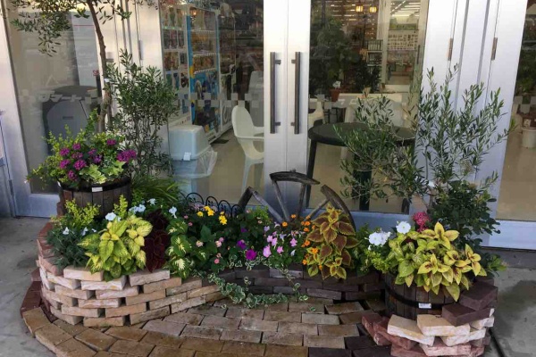 綿半ホームエイド諏訪インター店 ガーデンブログ 花壇