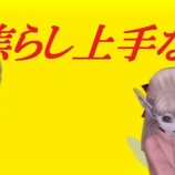 『焦らし上手な彼』の画像