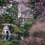 庭師のすすめin箱根　