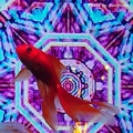 奈良金魚ミュージアム #03