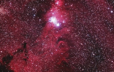 『Merry Xmas☆ クリスマスツリー星団（NGC2264） ☆彡』の画像