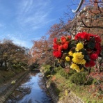 富山のミカエル日記