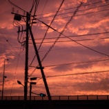 『平和な情景を守りたい』の画像