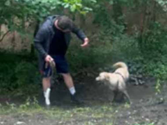 イヌと森の中を散歩していた。道わきに「水たまり」を発見♪ → 犬はこうなっちゃう…