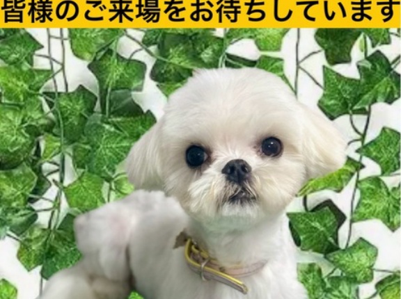 明日の赤坂サカスは開催致します❤️