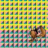 『ネコ･･･くつろぎ中･･･』の画像