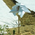 讃岐の水口祭　まんのう町の剣先型保食神の護符から考えること