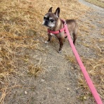 まさき動物病院