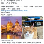 マルタ島のネコ虐殺日本人のオカムラサトシ、ガチで島民を怒らせる。「恥を知れ」「日本に叩き出せ」