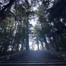 本日は定休日でございます。